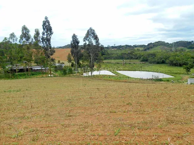 Sítio com 200m² 3 quartos e 2 banheiros, à venda, no bairro Areia Branca dos Assis em Mandirituba