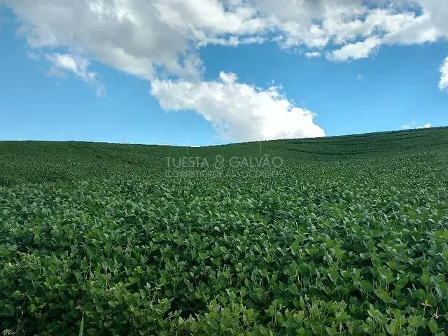 Sítio com 200m² 3 quartos e 2 banheiros, à venda, no bairro Areia Branca dos Assis em Mandirituba