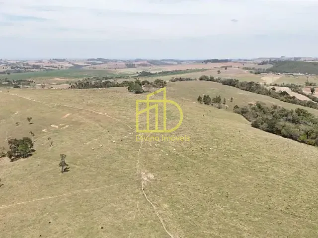 Sítio com 250000m², à venda, no bairro Gramadão em São Miguel Arcanjo