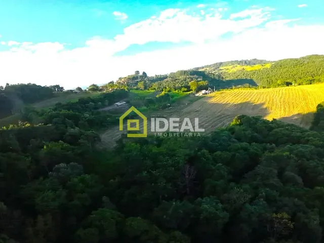Sítio com 23168m², à venda, no bairro Presidente Kennedy em Concórdia