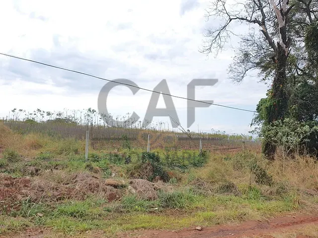 Sítio com 49676m², à venda, no bairro Pederneiras em Mogi Mirim