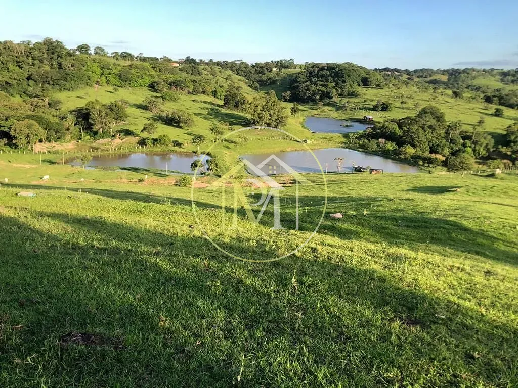 Sítio, 4 quartos, 9 hectares - Foto 12