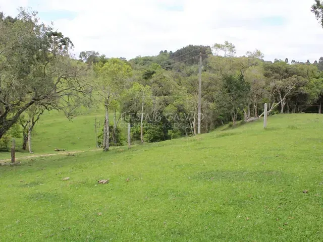 Sítio à venda, no bairro Campo Magro em Campo Magro