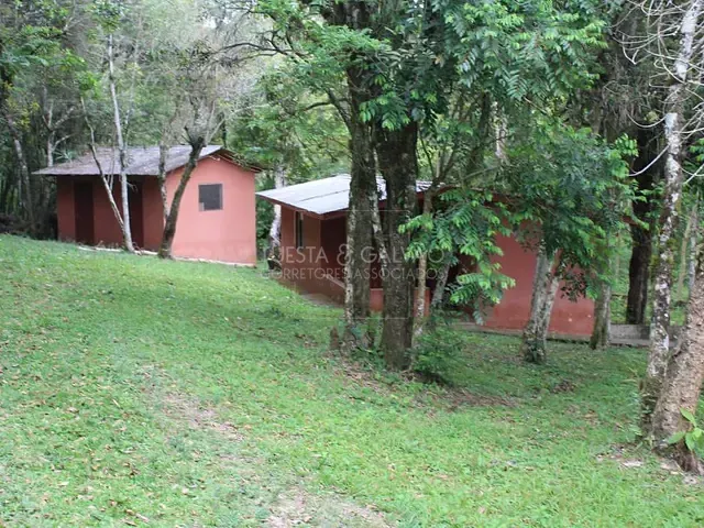 Sítio à venda, no bairro Campo Magro em Campo Magro