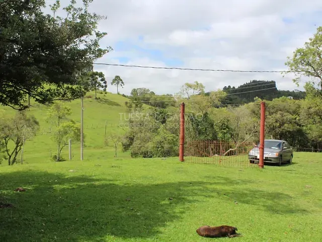 Sítio à venda, no bairro Campo Magro em Campo Magro