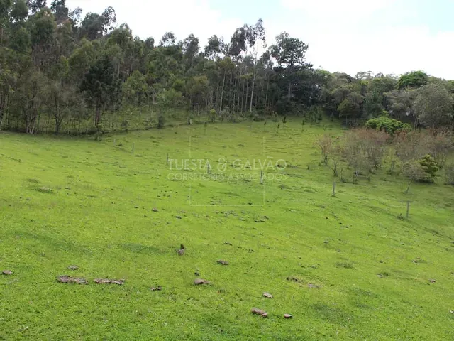 Sítio à venda, no bairro Campo Magro em Campo Magro