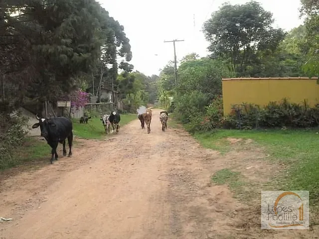 Sítio com 22500m² 2 quartos e 1 banheiro, à venda, no bairro Mato Dentro em Mairiporã