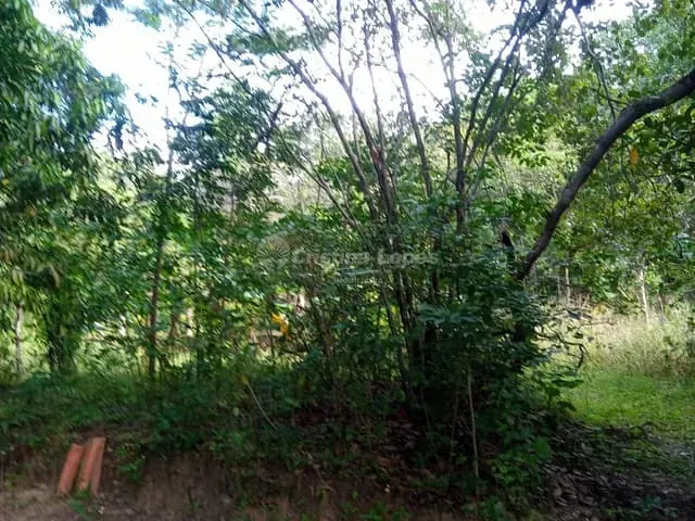 Sítio à venda, no bairro Zona Rural em Teresina