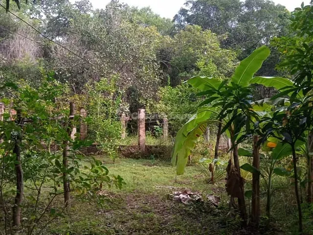 Sítio à venda, no bairro Zona Rural em Teresina