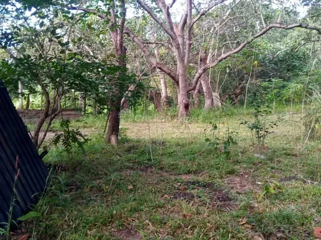 Sítio à venda, no bairro Zona Rural em Teresina