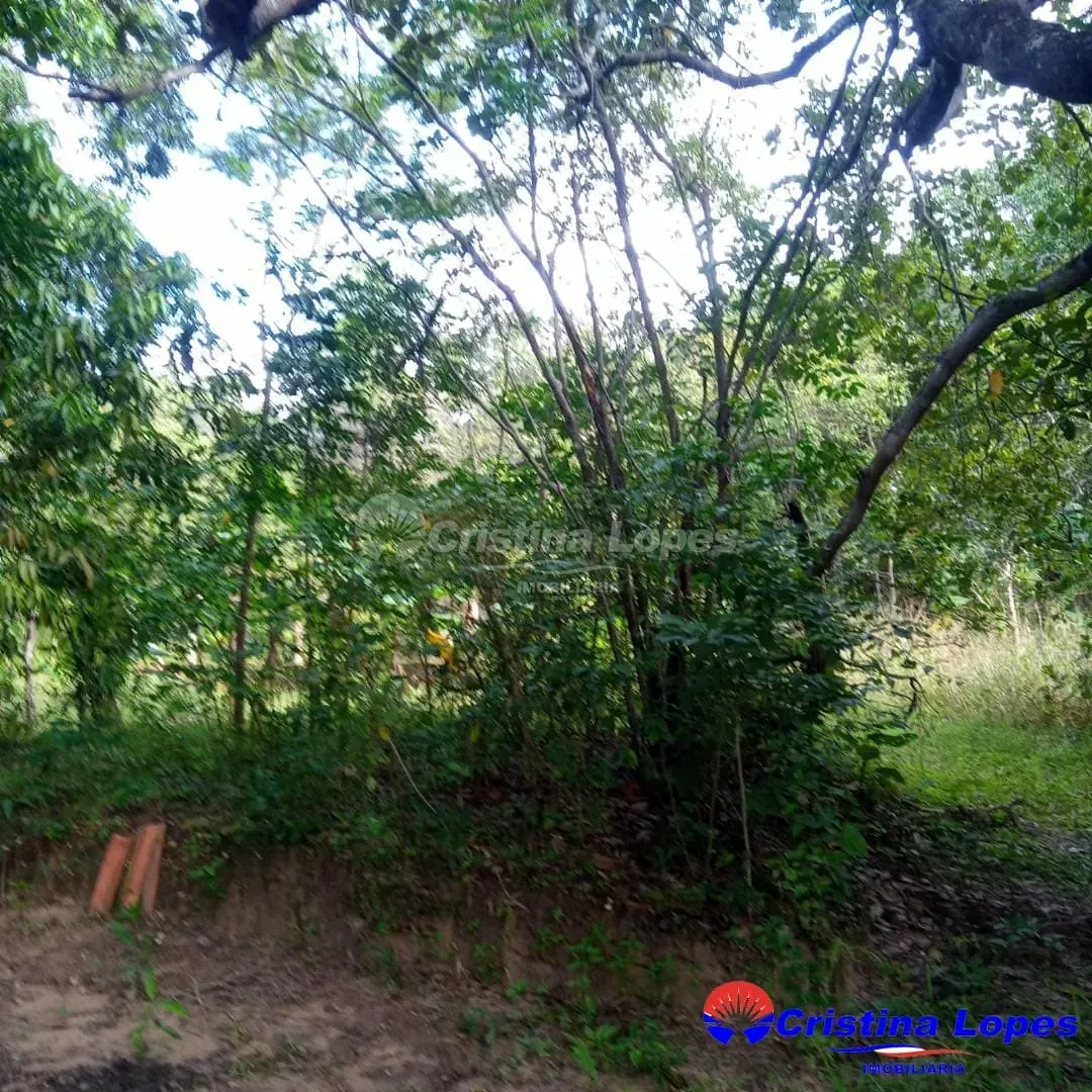 Fazenda, 10 m² - Foto 5