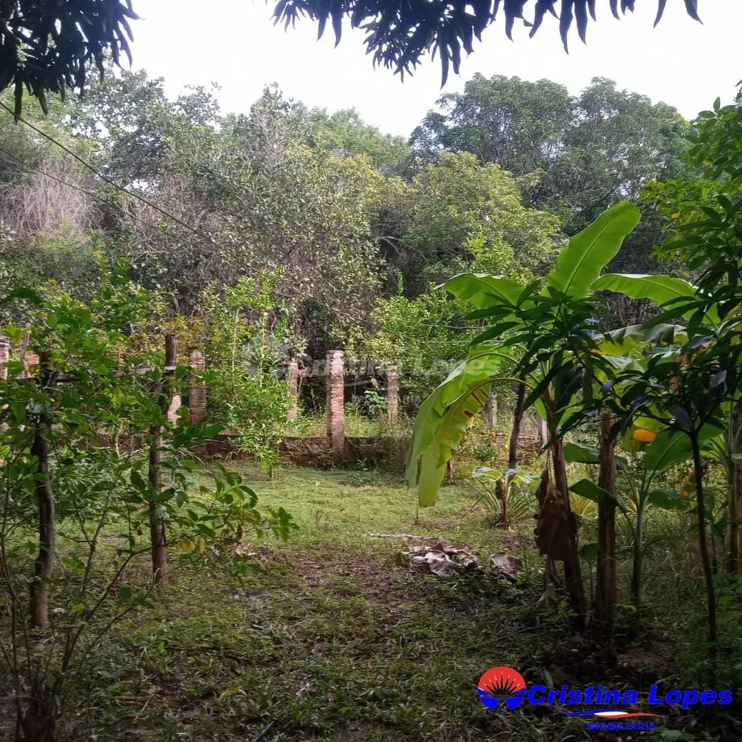Fazenda, 10 m² - Foto 1