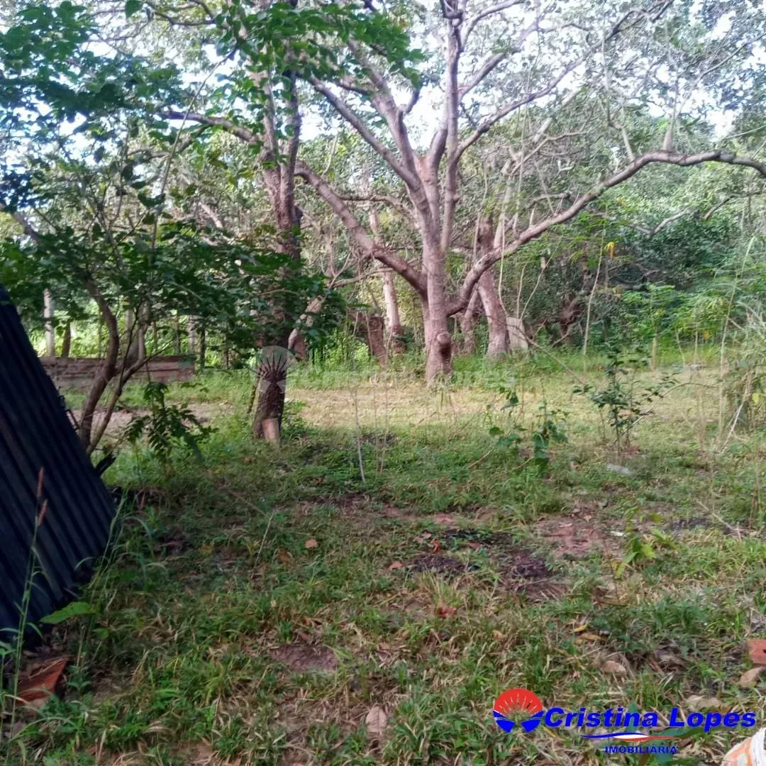 Fazenda, 10 m² - Foto 2