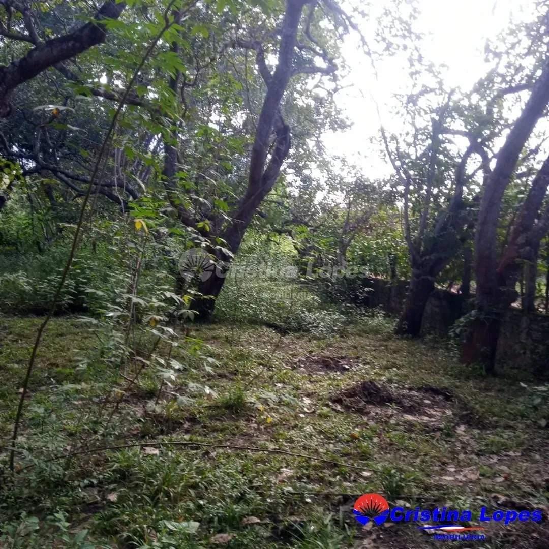 Fazenda, 10 m² - Foto 4