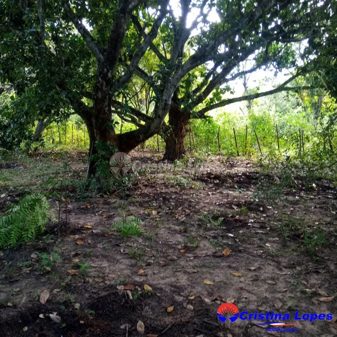 Fazenda, 10 m² - Foto 3