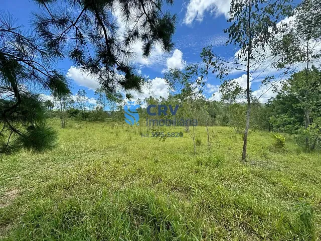Sítio com 62920m², à venda, no bairro Centro em Tamarana