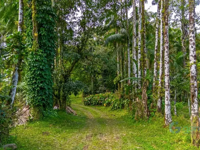 Sítio com 633402m² 3 quartos e 1 banheiro, à venda, no bairro Fartura em Morretes
