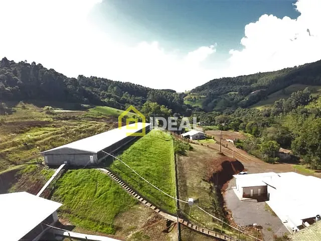 Sítio com 172400m², à venda, no bairro Área Rural em Seara