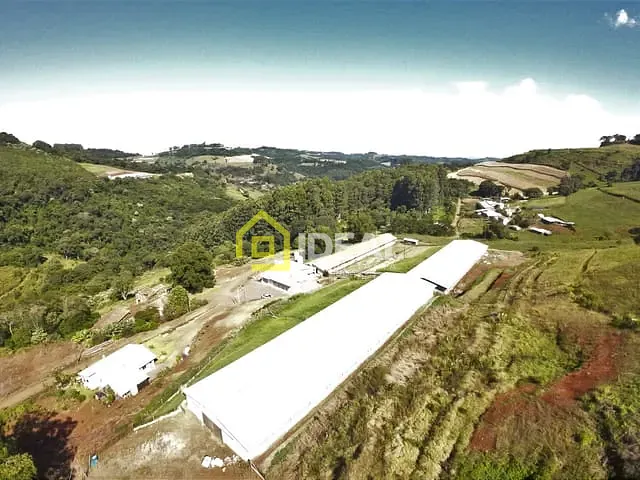 Sítio com 172400m², à venda, no bairro Área Rural em Seara