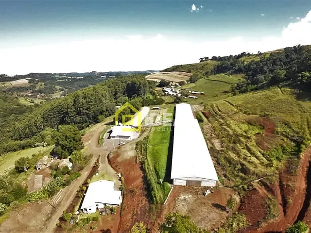 Sítio com 172400m², à venda, no bairro Área Rural em Seara