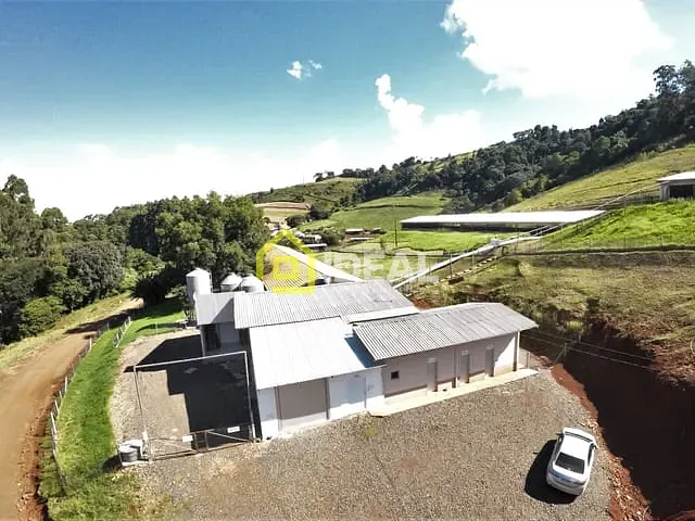Sítio com 172400m², à venda, no bairro Área Rural em Seara