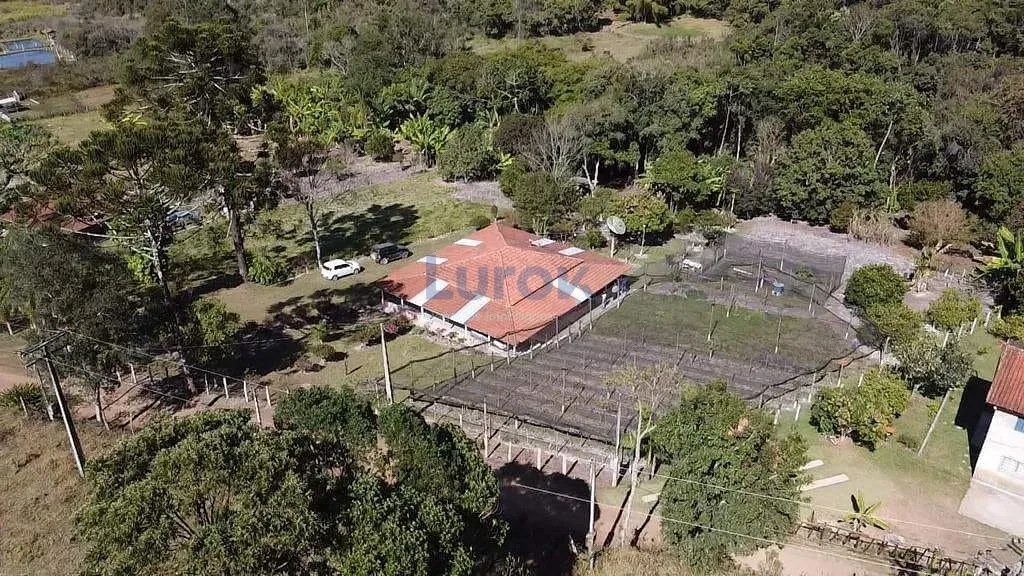 Sítio, 2 quartos, 6777 m² - Foto 2