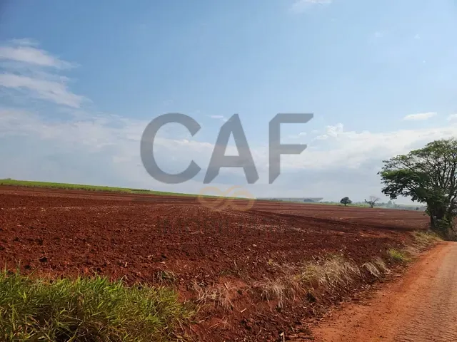 Sítio com 92267m², à venda, no bairro Aterrado em Mogi Mirim