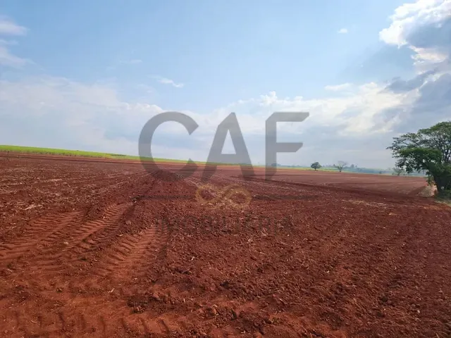 Sítio com 92267m², à venda, no bairro Aterrado em Mogi Mirim
