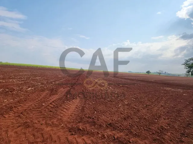 Sítio com 92267m², à venda, no bairro Aterrado em Mogi Mirim