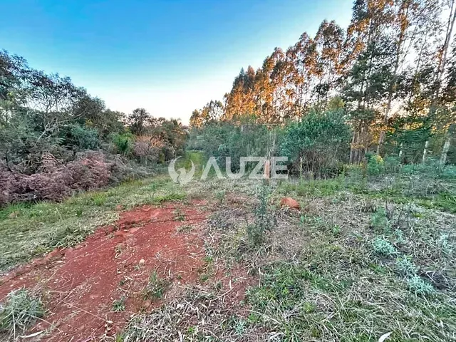 Sítio à venda, no bairro Capivari em Bocaiúva Do Sul