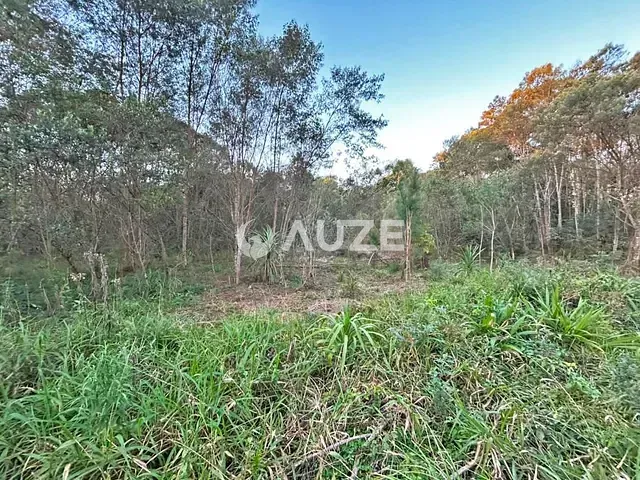 Sítio à venda, no bairro Capivari em Bocaiúva Do Sul