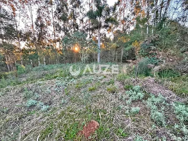 Sítio à venda, no bairro Capivari em Bocaiúva Do Sul