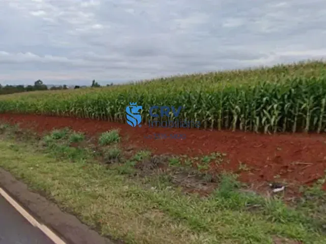 Sítio com 72116m², à venda, no bairro Centro em Warta