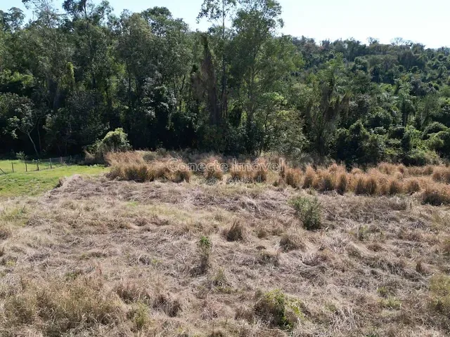 Sítio com 20000m², à venda, no bairro Área Rural de Holambra em Holambra