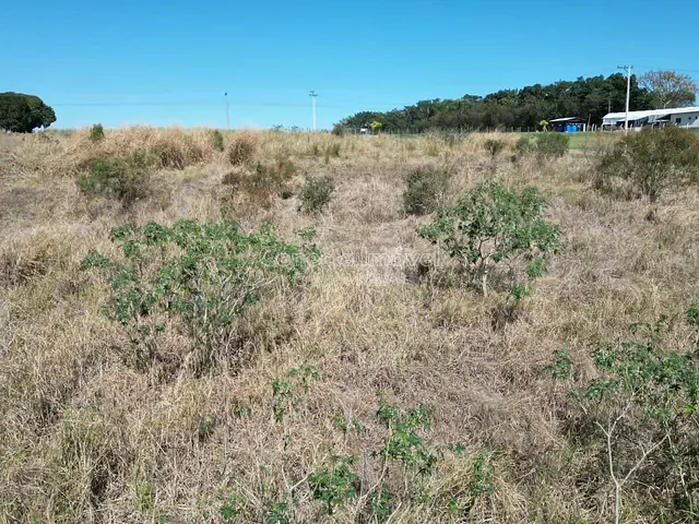 Sítio com 20000m², à venda, no bairro Área Rural de Holambra em Holambra