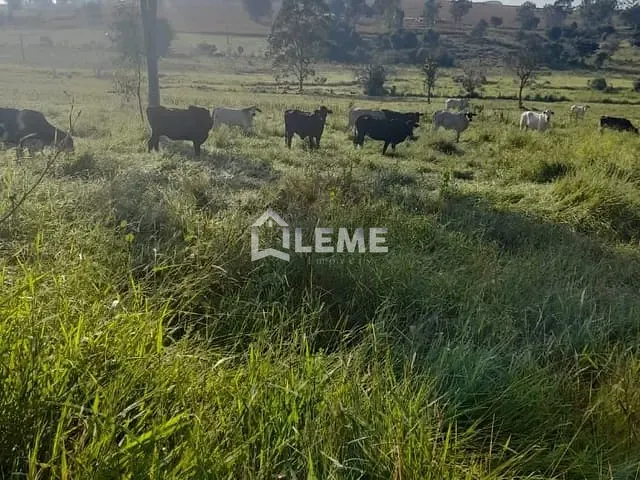 Sítio com 1403600m², à venda, no bairro Vila Lambari em Mococa