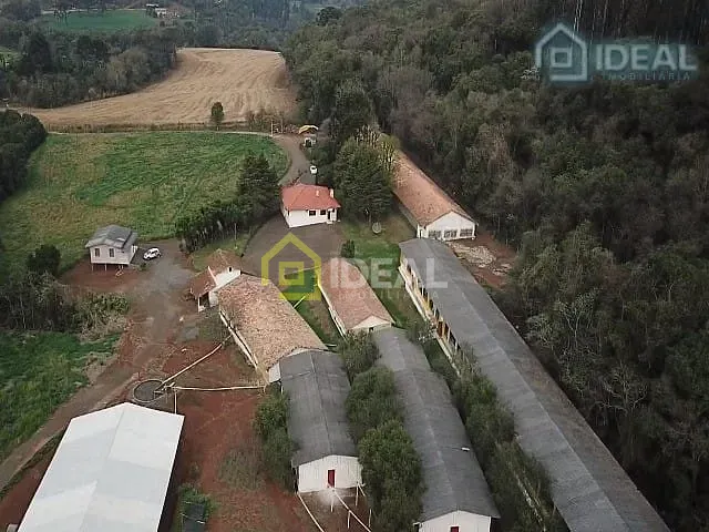 Sítio com 172000m² 5 quartos e 3 banheiros, à venda, no bairro Centro em Concórdia