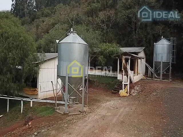 Sítio com 172000m² 5 quartos e 3 banheiros, à venda, no bairro Centro em Concórdia