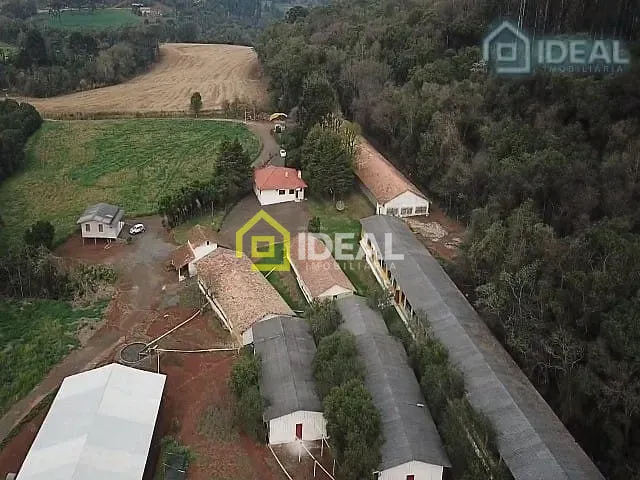 Sítio com 172000m² 5 quartos e 3 banheiros, à venda, no bairro Barra do Tigre em Concórdia