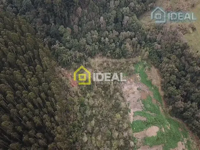 Sítio com 172000m² 5 quartos e 3 banheiros, à venda, no bairro Barra do Tigre em Concórdia