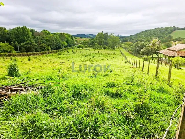 Sítio com 25000m² 3 quartos e 2 banheiros, à venda, no bairro Passa Três em Tuiuti