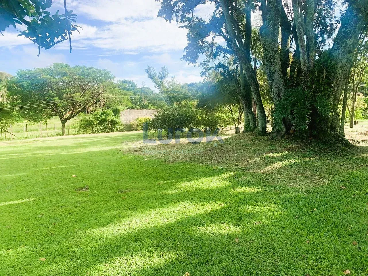 Sítio, 3 quartos, 3 hectares - Foto 6
