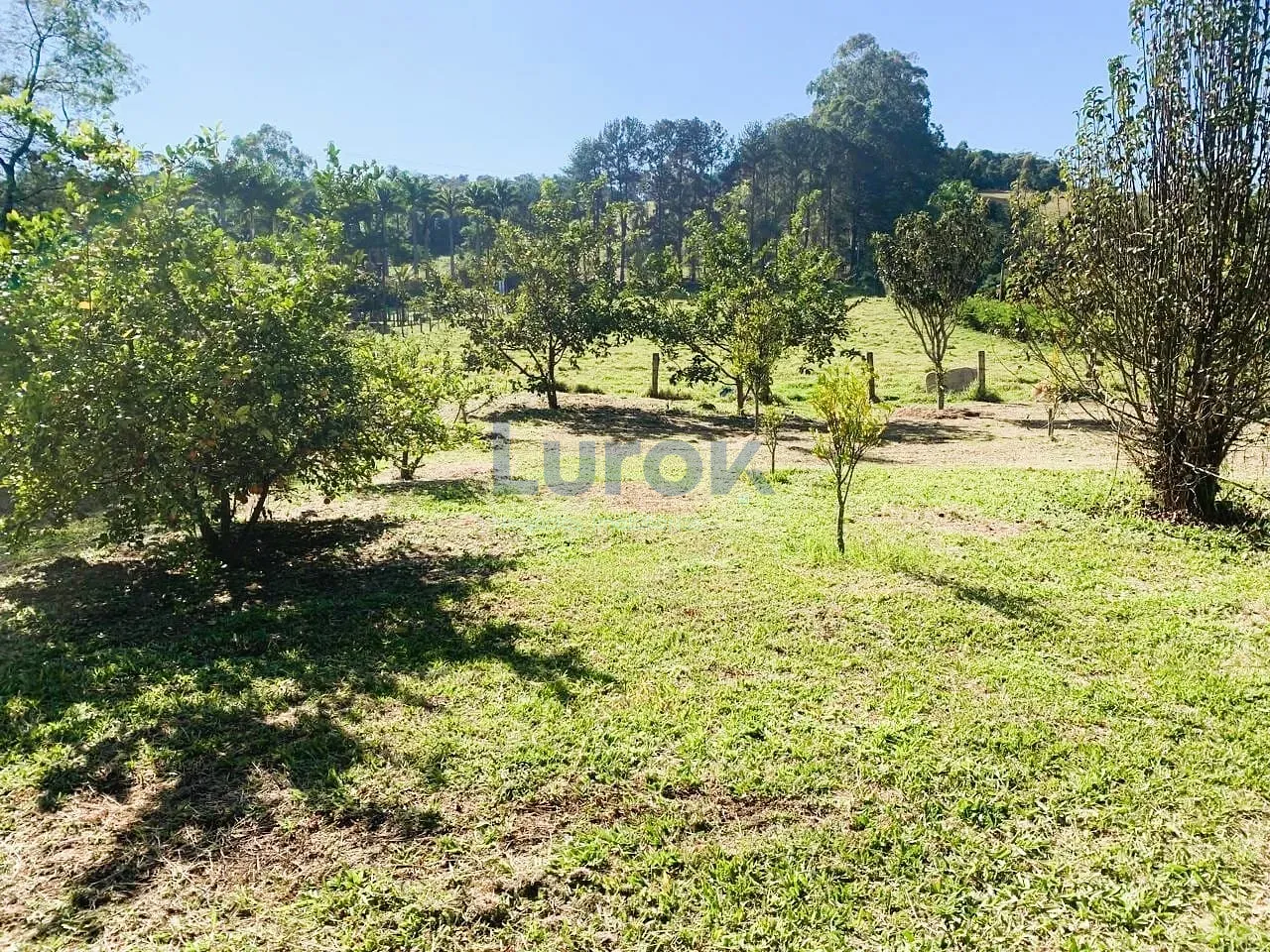 Sítio, 3 quartos, 3 hectares - Foto 12