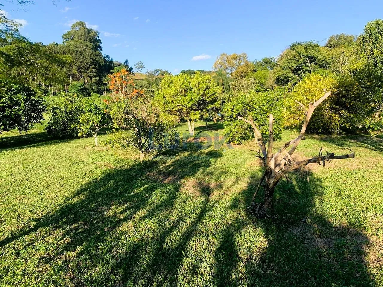Sítio, 3 quartos, 3 hectares - Foto 7