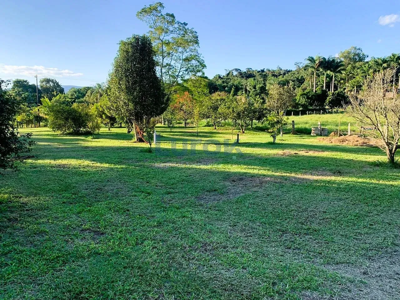 Sítio, 3 quartos, 3 hectares - Foto 8