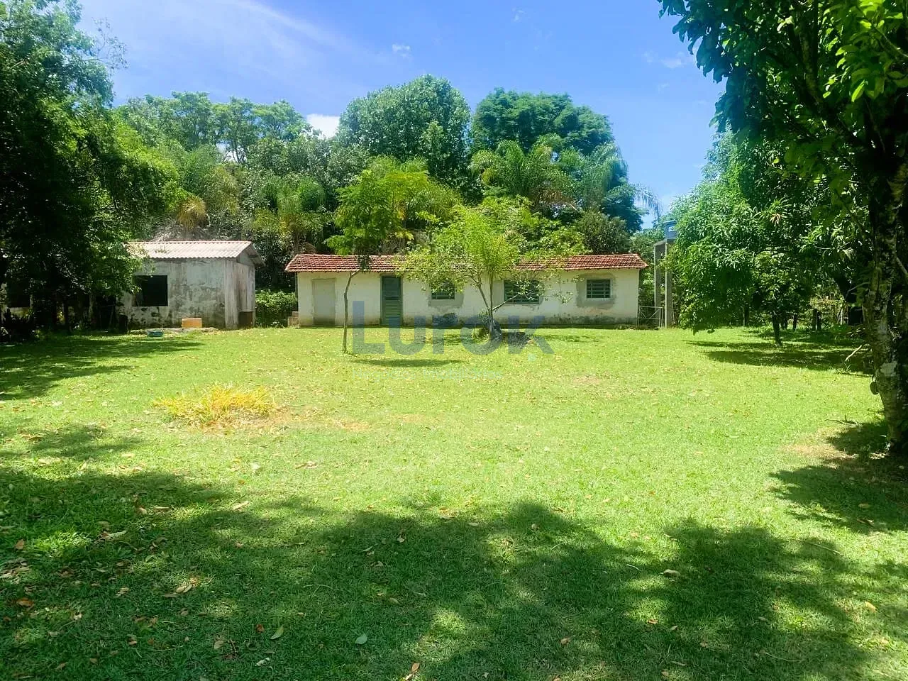Sítio, 3 quartos, 3 hectares - Foto 11