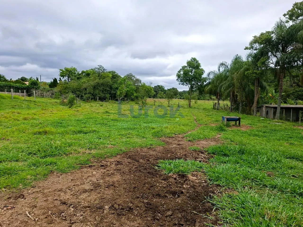 Sítio, 3 quartos, 3 hectares - Foto 14