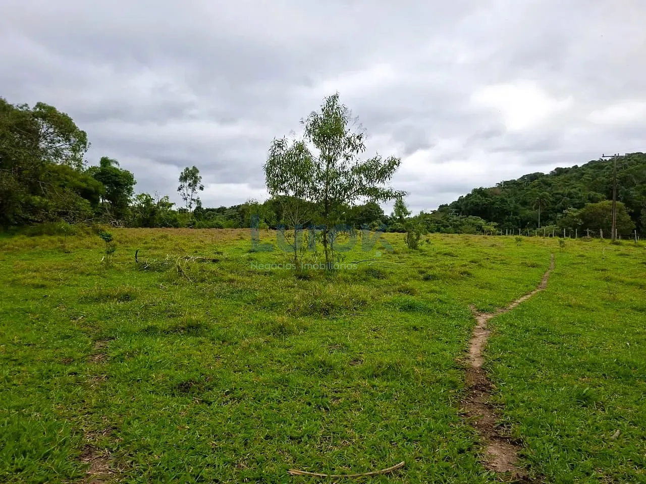 Sítio, 3 quartos, 3 hectares - Foto 15