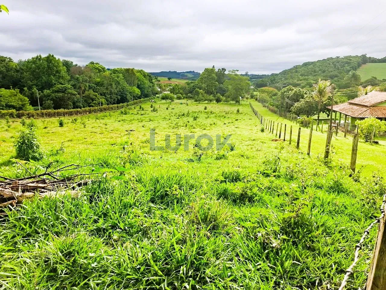 Sítio, 3 quartos, 3 hectares - Foto 2