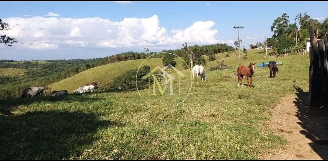 Chácara, 18 hectares - Foto 13